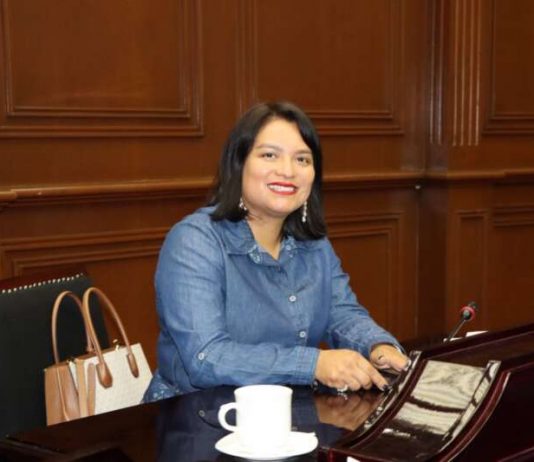 Celebra Eréndira Isauro resolución del TEEM para garantizar derechos político -electorales a jóvenes