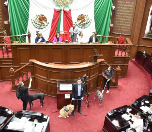 Congreso de Michoacán aprueba regulación para el uso de pirotecnia