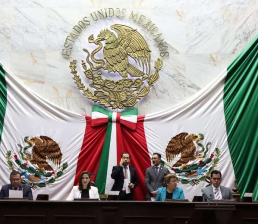 Centros asistenciales y de reinserción social, con pleno respeto a derechos humanos: 75 Legislatura