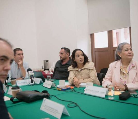 Consigue Andrea Villanueva asignación de recursos para los sectores más vulnerables de Michoacán