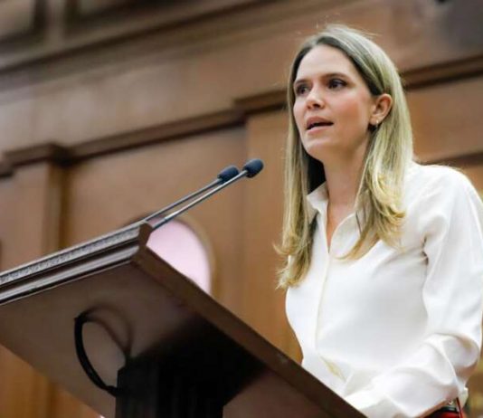 Daniela De Los Santos y GIDA Animalista, proponen la creación del Consejo Consultivo Estatal de Protección Animal