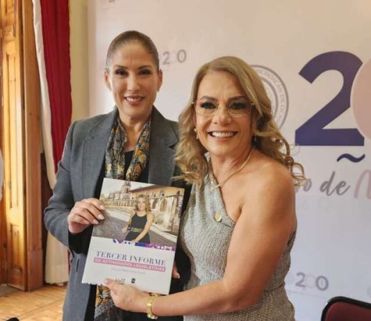 Familias michoacanas, nuestra prioridad en el Congreso: Luz García