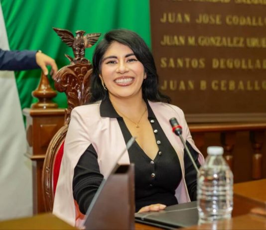 Preside Vanhe Caratachea comisión de protección a la niñez y juventud