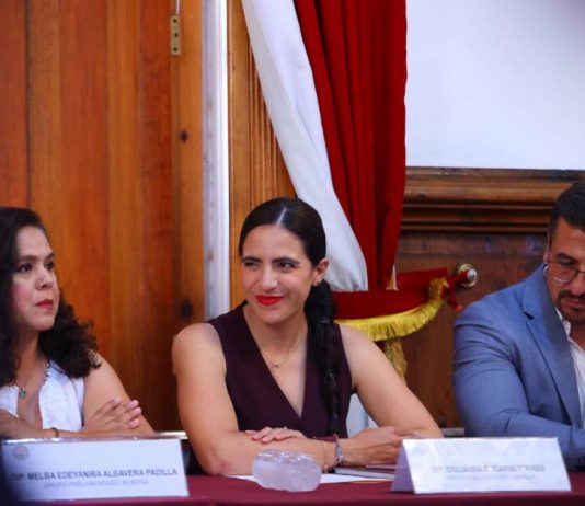 Diputada Bugarini se convierte en la primera mujer presidenta de la Comisión de Programación, Presupuesto y Cuenta Pública