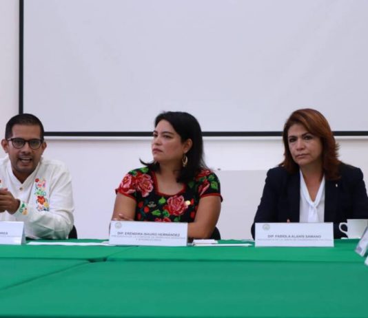 76 Legislatura es aliada de los pueblos originarios