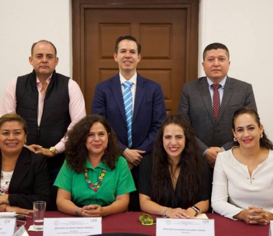 ”No golpearemos el bolsillo del pueblo”: Diputada Bugarini respecto a votación de las leyes de ingresos