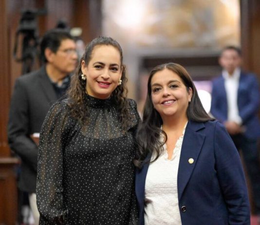 Aprueba Congreso propuesta de diputada Tere Herrera y Sandra Arreola para prevenir la violencia contra la mujer