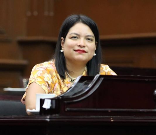 Eréndira Isauro presenta iniciativa para mejorar la ejecución de obras públicas en Michoacán