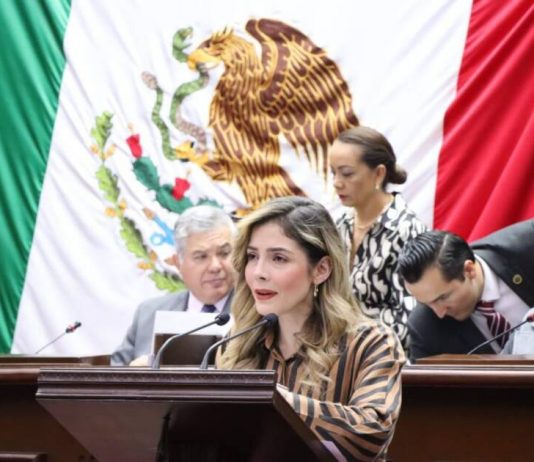 Propone Diputada Brissa Arroyo aumentar pena a quienes agredan a periodistas