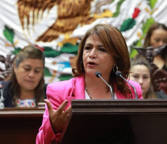 Estrategia de seguridad federal de Sheinbaum traerá resultados claros: Fabiola Alanís