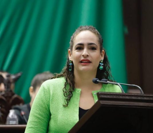 Sandra Arreola celebra aprobación en Michoacán a reforma federal para prevenir el maltrato animal