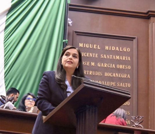 Exhorta diputada Tere Herrera a Ejecutivo estatal a establecer plan emergente en Michoacán