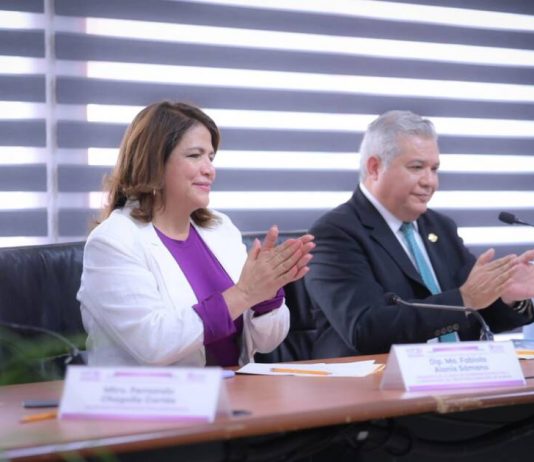 Llegó el momento de una renovación profunda al Poder Judicial para garantizar el acceso a la justicia: Fabiola Alanís