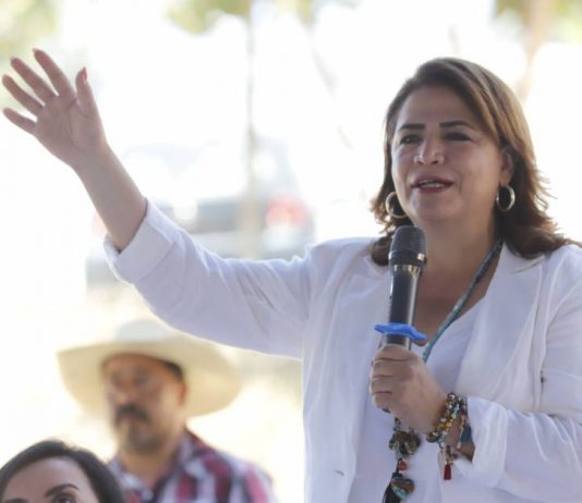 Campo michoacano, prioridad en la 4T: Fabiola Alanís