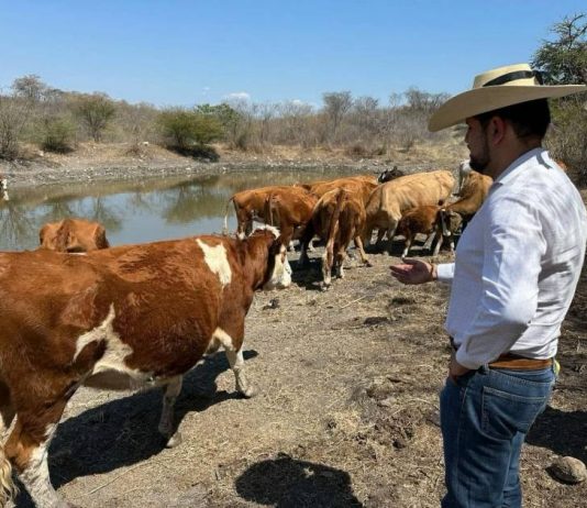 PRD Michoacán cierra filas con productores ante aranceles de Estados Unidos: Octavio Ocampo