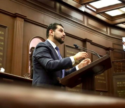 Octavio Ocampo presentó iniciativa para que Michoacán refuerce la defensa animal al sancionar la falta de auxilio a los animales