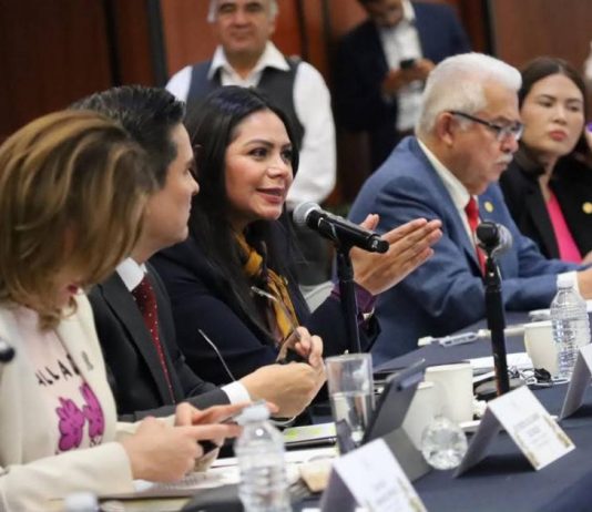 Reforma constitucional a favor de las y los jóvenes garantiza desarrollo de las juventudes: Araceli Saucedo