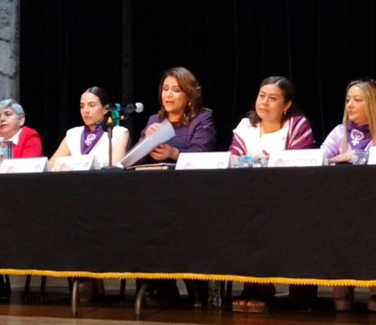 Mujeres suemistas en defensa de sus derechos laborales