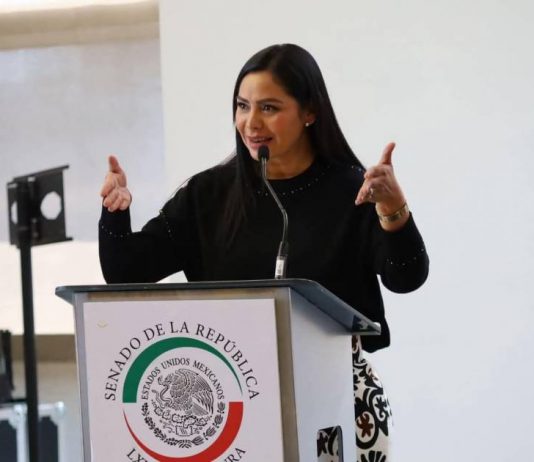 Desde el Senado estamos luchando por los derechos de las niñas y mujeres: Araceli Saucedo
