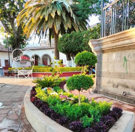 Mejoran imagen urbana en Morelos, con la instalación de jardineras en la plaza principal