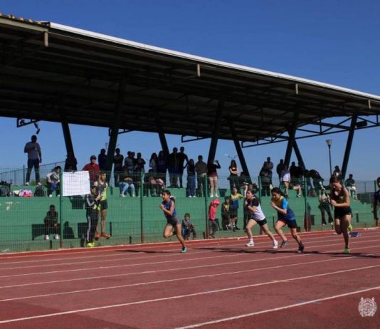 Quedaron definidos las y los atletas nicolaitas que calificaron al regional de la Universiada 2025