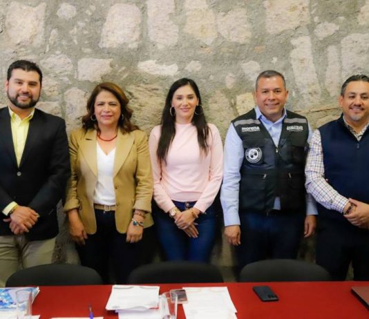 Proceso electoral judicial avanza en tiempo y forma: Fabiola Alanís