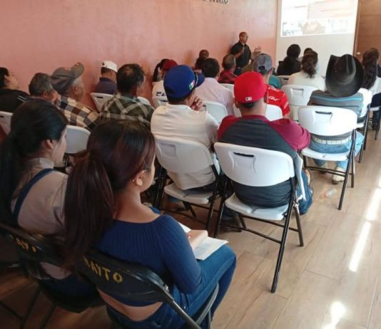 Reorganización desde las bases: el nuevo rumbo del movimiento magisterial en Michoacán