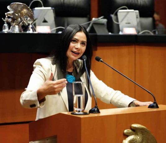 Digitalización de servicios gubernamentales beneficiará a millones de mexicanos: Araceli Saucedo