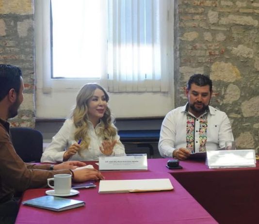 La Comisión de Desarrollo Social aprueba su plan de trabajo y dictamen de la Glosa del Tercer Informe