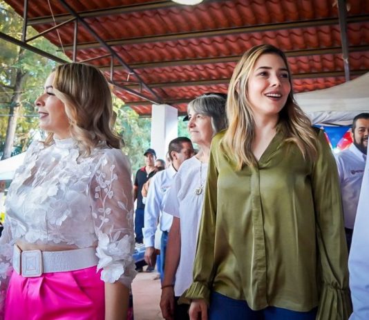 Brissa Arroyo, Diputada municipalista