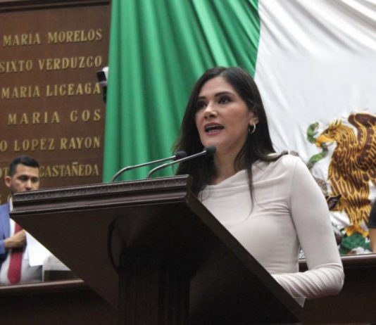 Debemos garantizar un proceso electoral de juzgadores, transparente y apegado a derecho: Diana Espinoza