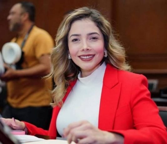 Rumbo a la consolidación del Parlamento Abierto, vamos avanzando: Brissa Arroyo