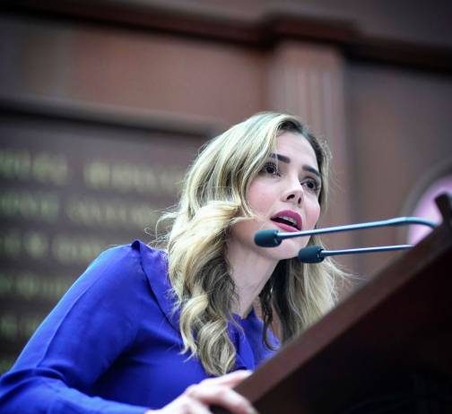 Ningún presunto agresor debe cubrirse en el manto del fuero: Brissa Arroyo