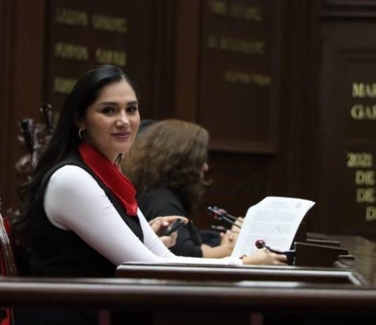 Desde las leyes debemos combatir la violencia de género: Diana Espinoza