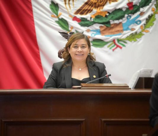 Preocupantes las agresiones en el país a los médicos veterinarios: Belinda Iturbide