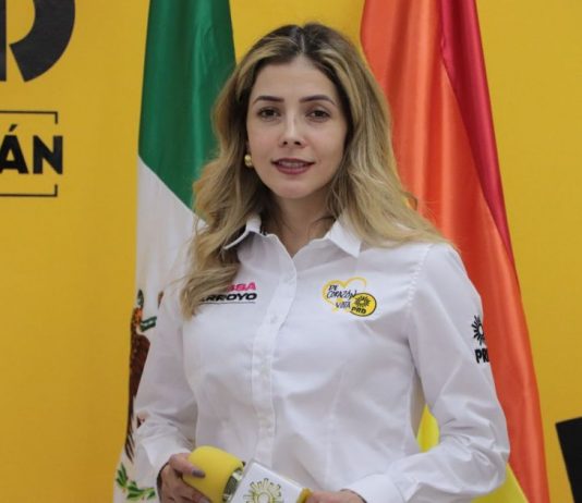 Propone Brissa Arroyo asamblea ampliada para la renovación de la dirigencia del PRD Michoacán