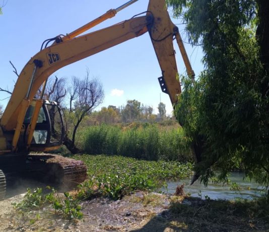 Arranca Ooapas trabajos de limpieza y dragado en dren de La Mintzita