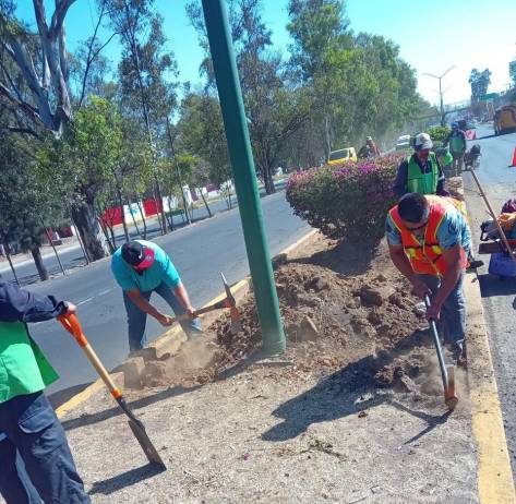 Gobierno de Morelia interviene áreas verdes en zona de las Tarascas