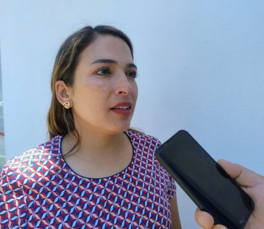 Un nuevo rumbo para el Poder Judicial, Amarillo 01: Marina Aguirre