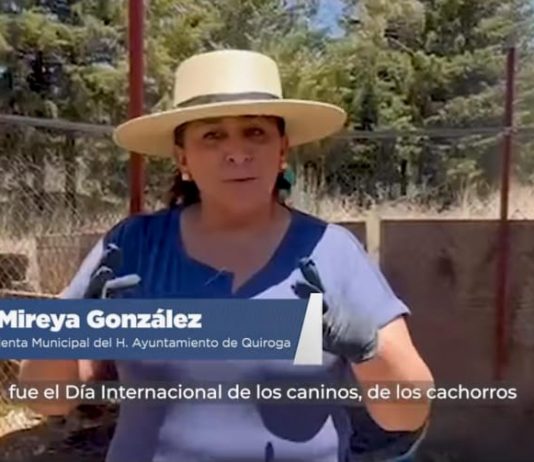 Reviven el Centro de Atención y Control Canino de Quiroga tras años de abandono