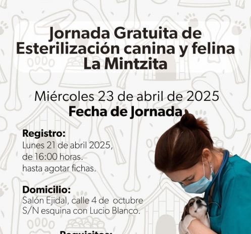 Esterilizar para no abandonar: Hermano Animal lanza jornada gratuita en La Mintzita
