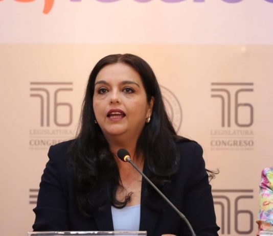 Necesario apoyar a madres trabajadoras del Congreso: diputada Tere Herrera