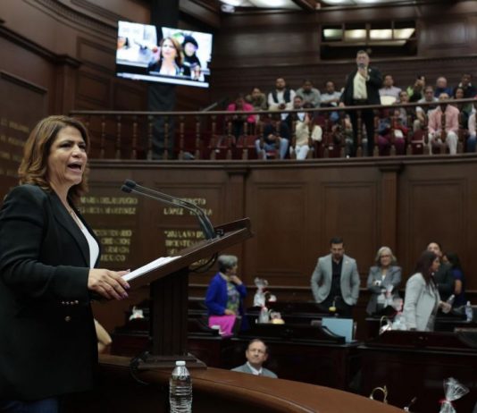 La delincuencia no tiene cabida en la elección judicial: Fabiola Alanís