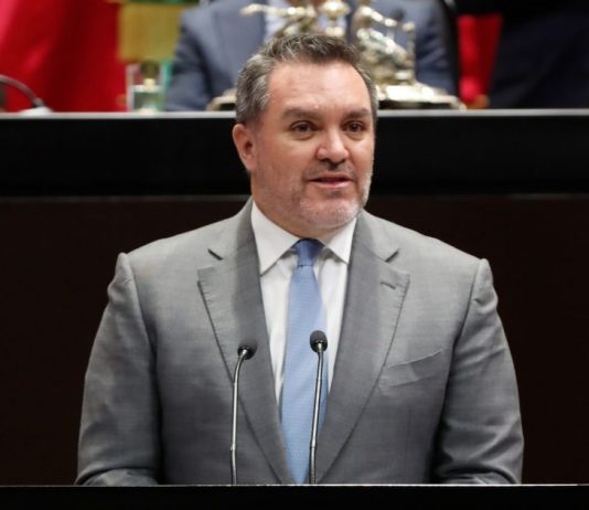 Piden endurecer sanciones por maltrato o crueldad en contra de la vida y el bienestar animal