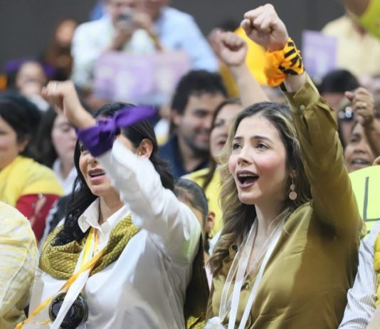 No he fallado a mi partido, ni he fallado a Michoacán: Brissa Arroyo