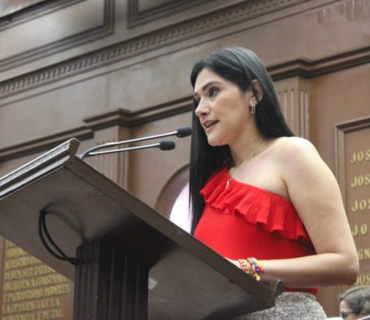 Presenta diputada Diana Espinosa iniciativa para reformar Ley de Turismo en materia de protección a niñas, niños y adolescentes