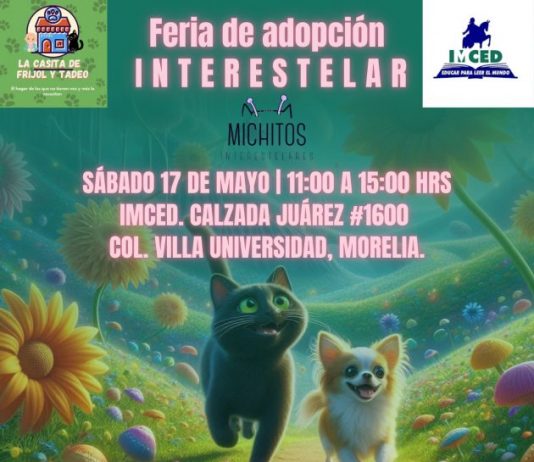 Michoacanos buscados por michis y lomitos: se acerca la feria de adopción interestelar