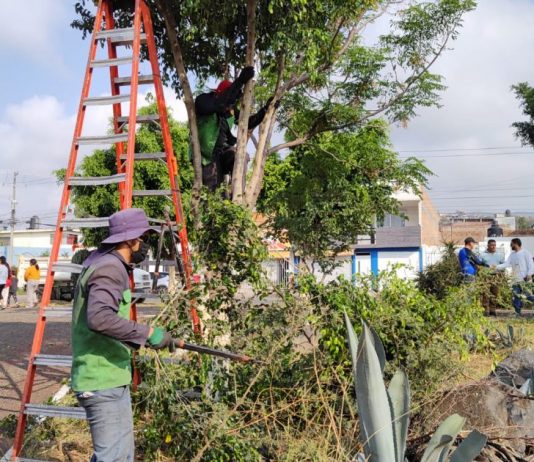 Gobierno de Morelia implementa jornada de limpieza y manteniendo en Parque Lineal Bicentenario