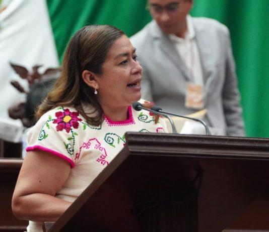 Propone Belinda Iturbide reforma a la Ley de Salud