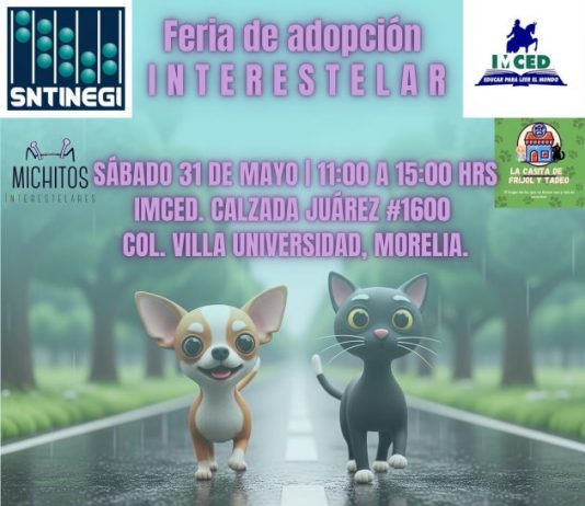 “15 corazones peludos buscan un hogar: Feria de adopción interestelar será este sábado”